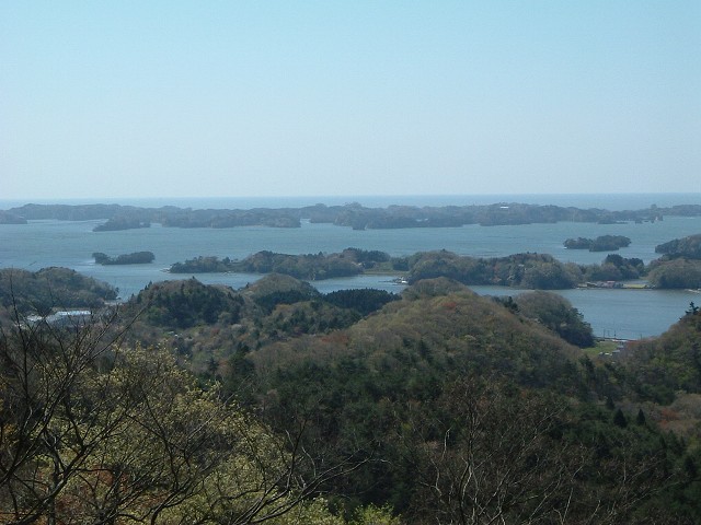 特別名勝・松島・麗観・富山からみる松島湾の写真の写真
