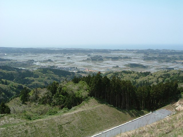 高台から見る水田地帯の写真の写真