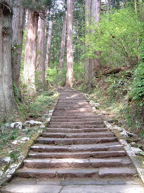 特別天然記念物・羽黒山・出羽三山神社・羽黒山のスギ並木・1.7kmで計2446段ある階段の写真の写真