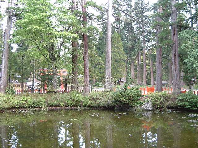 羽黒山・出羽三山神社１１の写真の写真