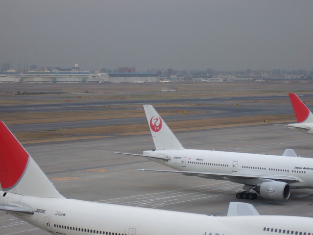 日本航空の写真の写真