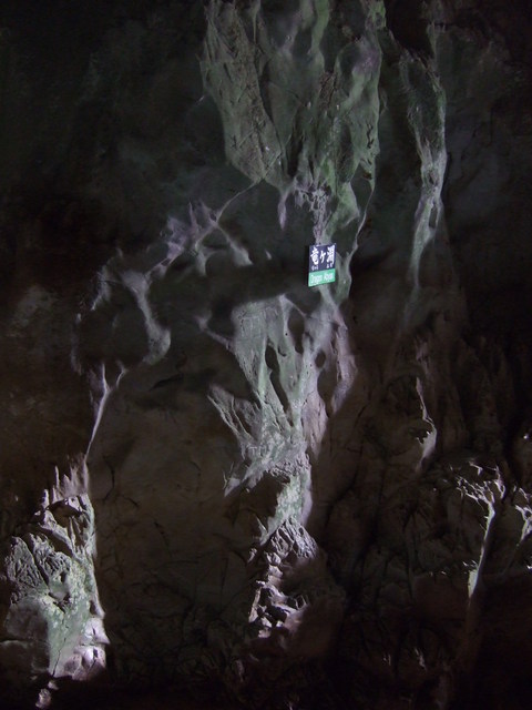 特別天然記念物・秋芳洞・竜ケ淵の写真の写真
