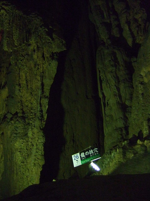 特別天然記念物・秋芳洞・龍の抜穴の写真の写真