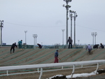 北海道遺産・ばんえい競馬・レース後の整地
