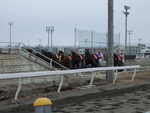 北海道遺産・ばんえい競馬・第二の坂道で立ち止まるばん馬