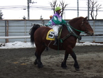北海道遺産・ばんえい競馬１６