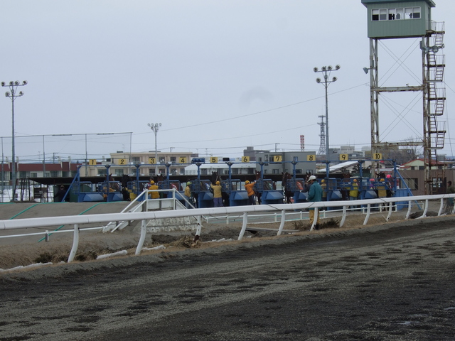 北海道遺産・ばんえい競馬・ゲートインの作業風景の写真の写真