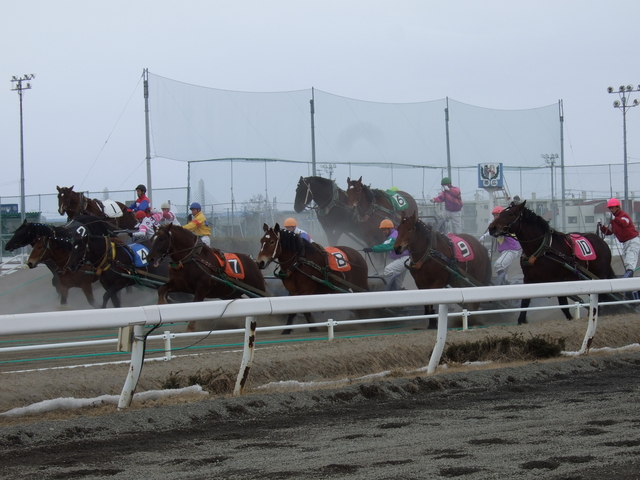 北海道遺産・ばんえい競馬・スピードが乗っている第一の坂の直後の写真の写真
