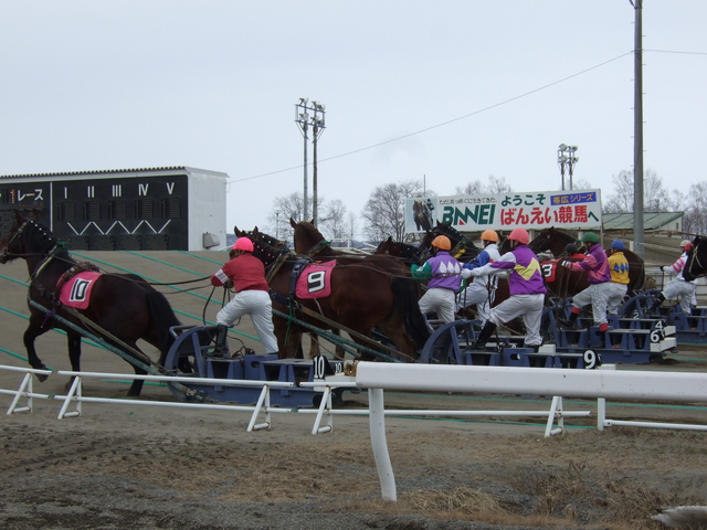 北海道遺産・ばんえい競馬・呼吸を整えていざ出陣の写真の写真