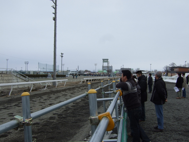 北海道遺産・ばんえい競馬・近くまで寄って見学できるの写真の写真