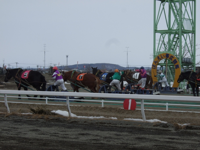 北海道遺産・ばんえい競馬・ゴールの様子の写真の写真