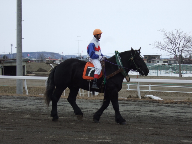 北海道遺産・ばんえい競馬２の写真の写真