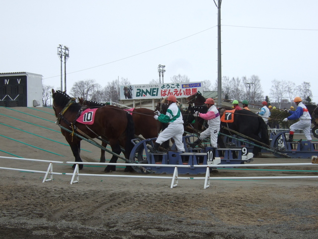 北海道遺産・ばんえい競馬６の写真の写真
