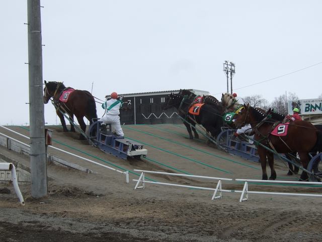北海道遺産・ばんえい競馬９の写真の写真