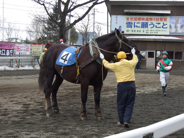 北海道遺産・ばんえい競馬１５の写真の写真