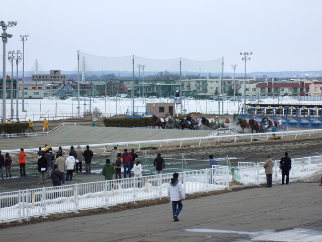 北海道遺産・ばんえい競馬２１の写真の写真
