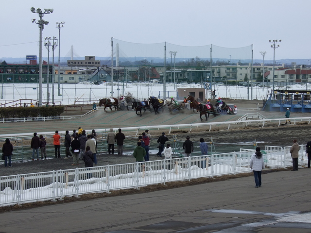 北海道遺産・ばんえい競馬２２の写真の写真