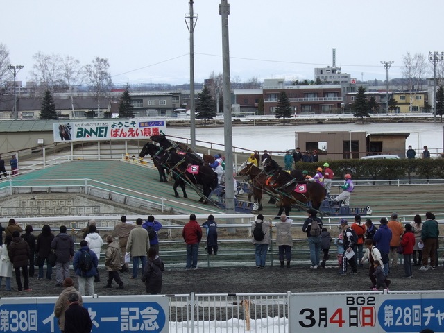 北海道遺産・ばんえい競馬・スタンドから見るとこんな感じに見えるの写真の写真