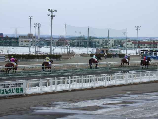 北海道遺産・ばんえい競馬２６の写真の写真