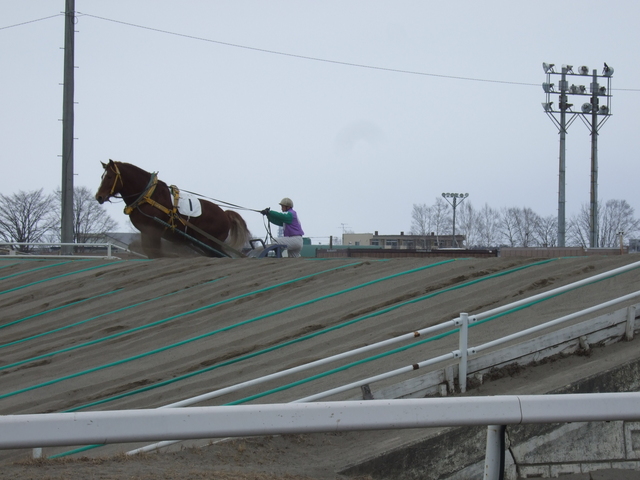 北海道遺産・ばんえい競馬２７の写真の写真