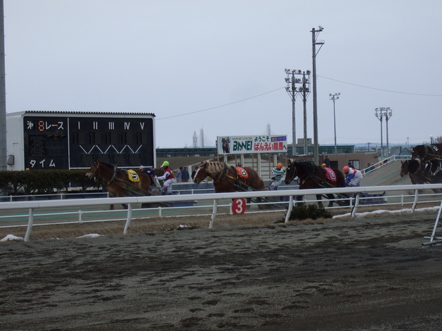 北海道遺産・ばんえい競馬３０の写真の写真