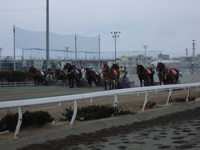 北海道遺産・ばんえい競馬３２の写真の写真