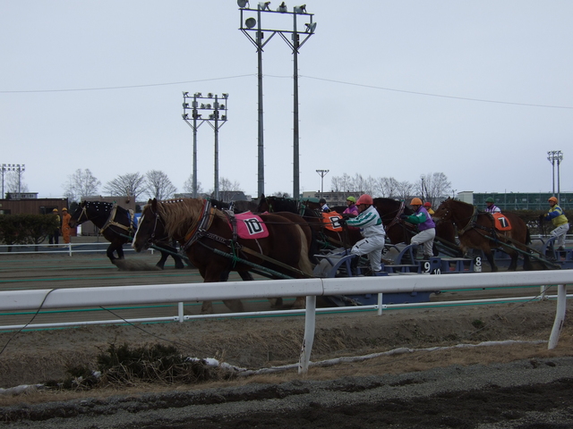 北海道遺産・ばんえい競馬３３の写真の写真