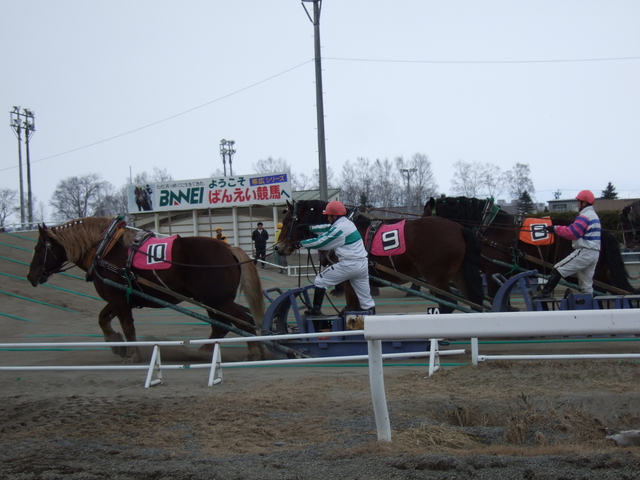 北海道遺産・ばんえい競馬３４の写真の写真