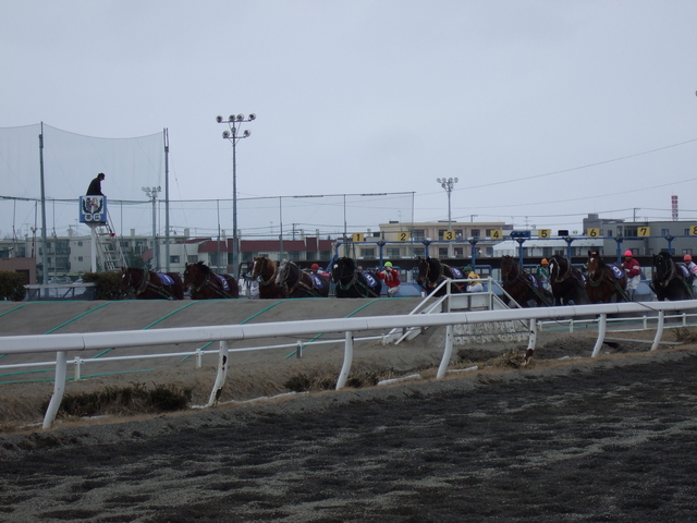 北海道遺産・ばんえい競馬４２の写真の写真