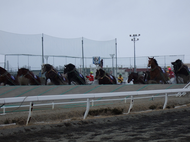 北海道遺産・ばんえい競馬４３の写真の写真