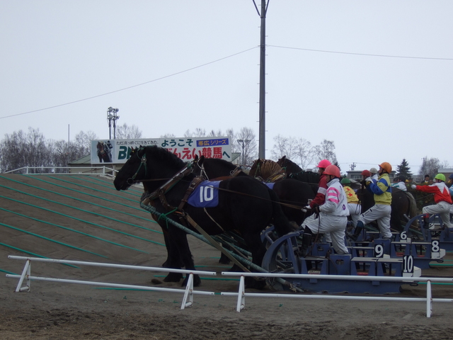 北海道遺産・ばんえい競馬４５の写真の写真