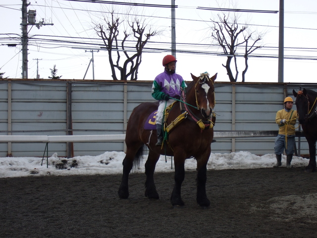 北海道遺産・ばんえい競馬５７の写真の写真