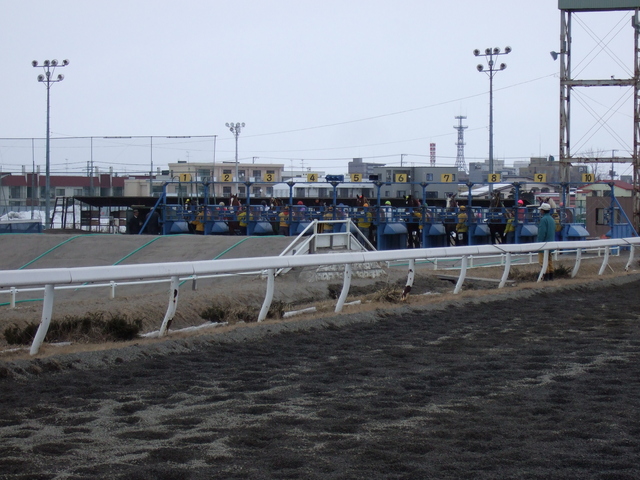 北海道遺産・ばんえい競馬・本日のメインレースの出走直前の写真の写真