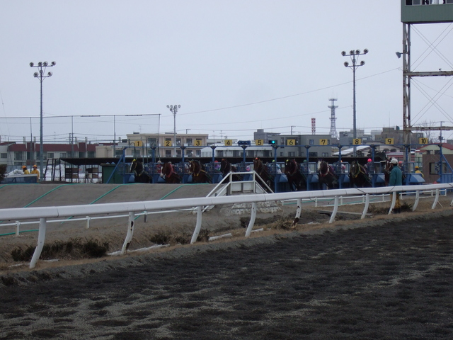北海道遺産・ばんえい競馬・ゲートが開いた直後の写真の写真