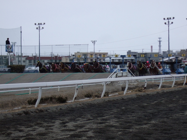 北海道遺産・ばんえい競馬・スタートの写真の写真