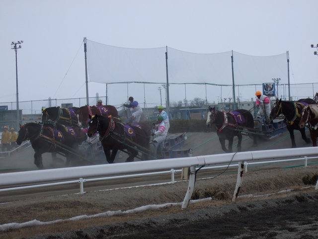 北海道遺産・ばんえい競馬・スピード感がある砂煙の写真の写真