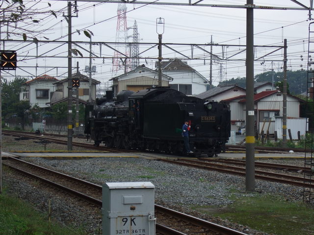 蒸気機関車(SL)のC58・テンダーあるのに背走の写真の写真