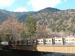 特別名勝・特別天然記念物・上高地・ところどころに橋が架かっている