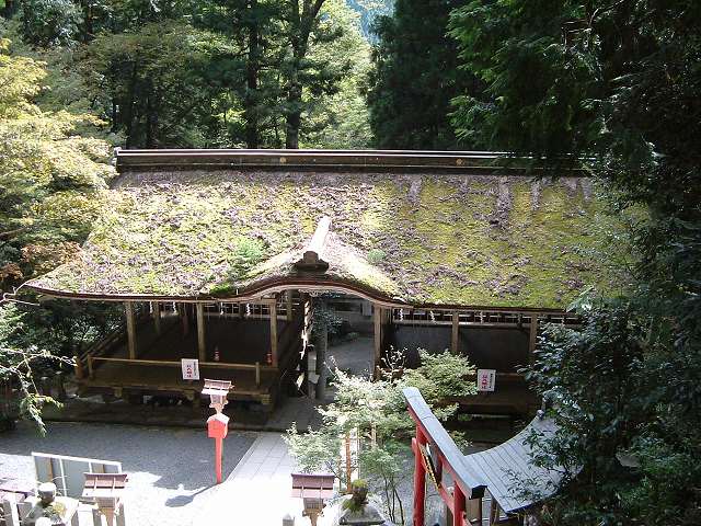 重要文化財・由岐神社拝殿の写真の写真
