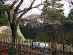 特別史跡・名古屋城跡・二之丸大手二之門付近から見る二の丸方向