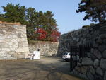特別史跡・名古屋城跡・遠くに清正石が見える