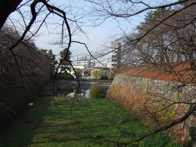 特別史跡・名古屋城跡・正門付近から見る外堀の西側の写真の写真