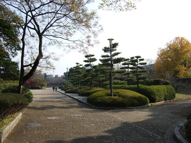 特別史跡・名古屋城跡・東南隈櫓付近の二の丸の写真の写真