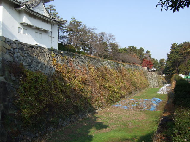 特別史跡・名古屋城跡・東南隈櫓付近の本丸の石垣の写真の写真