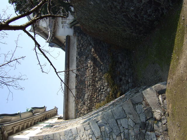 特別史跡・名古屋城跡・大天守と小天守の石垣の写真の写真