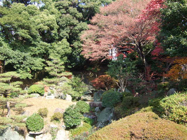 特別史跡・名古屋城跡・名勝・二之丸庭園・島にかかる橋が見えるの写真の写真