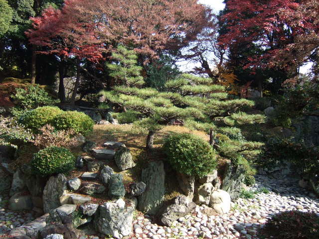特別史跡・名古屋城跡・名勝・二之丸庭園・松の写真の写真