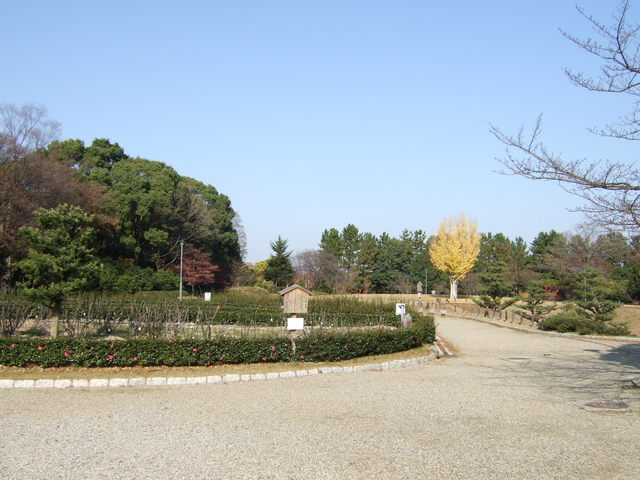 特別史跡・名古屋城跡・二の丸東庭園付近の写真の写真