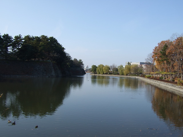 特別史跡・名古屋城跡・名城公園からみる西北隅櫓方向の写真の写真