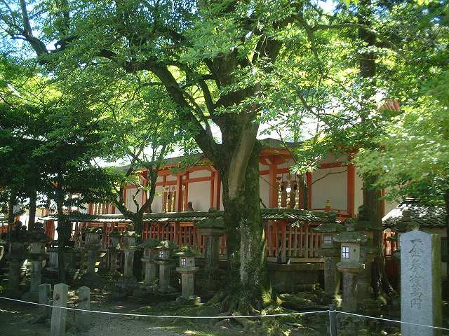 重要文化財・手向山神社境内社住吉神社本殿の写真の写真